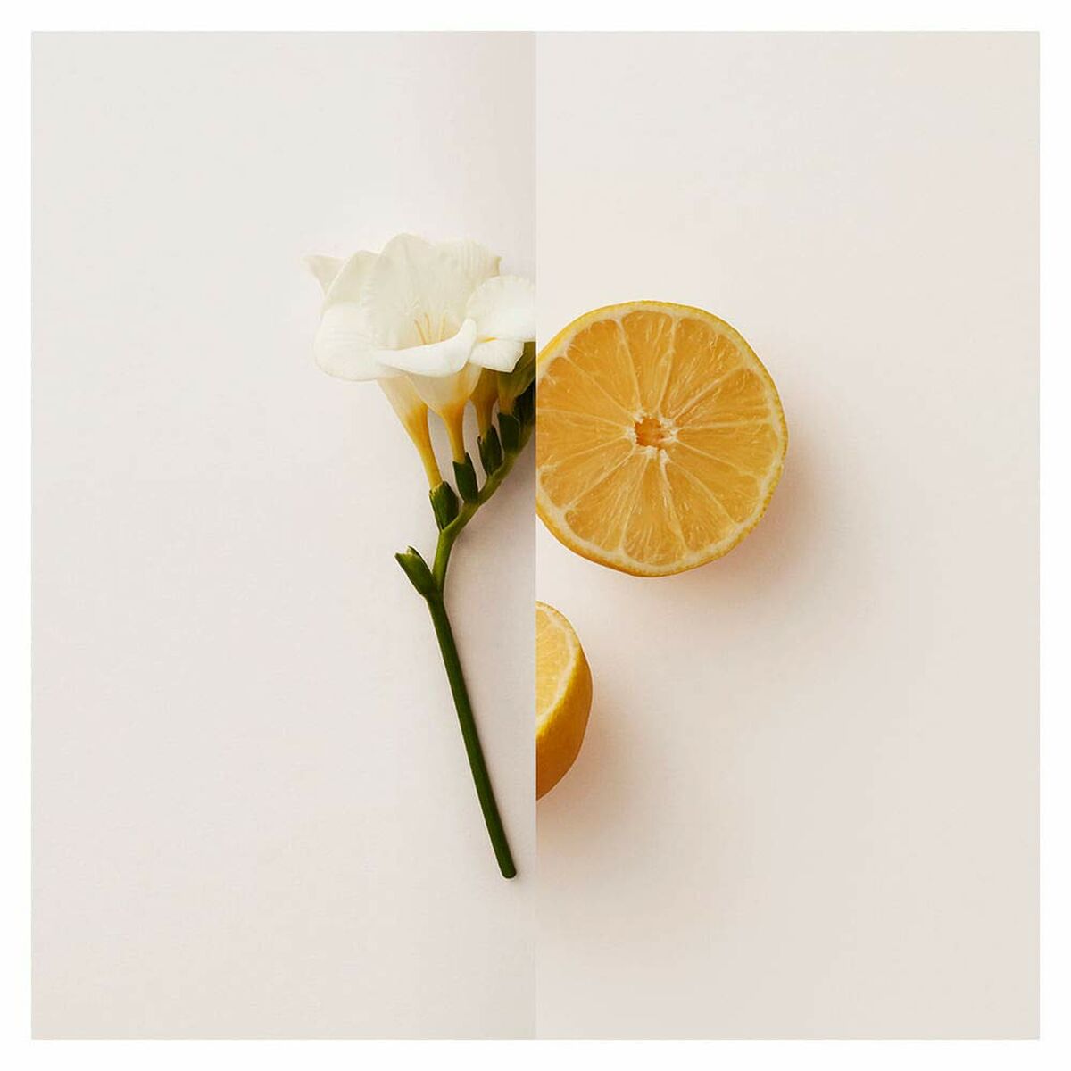 V6HC710AAA0E4DB465FD121BB8131E29AD9R4445253P3