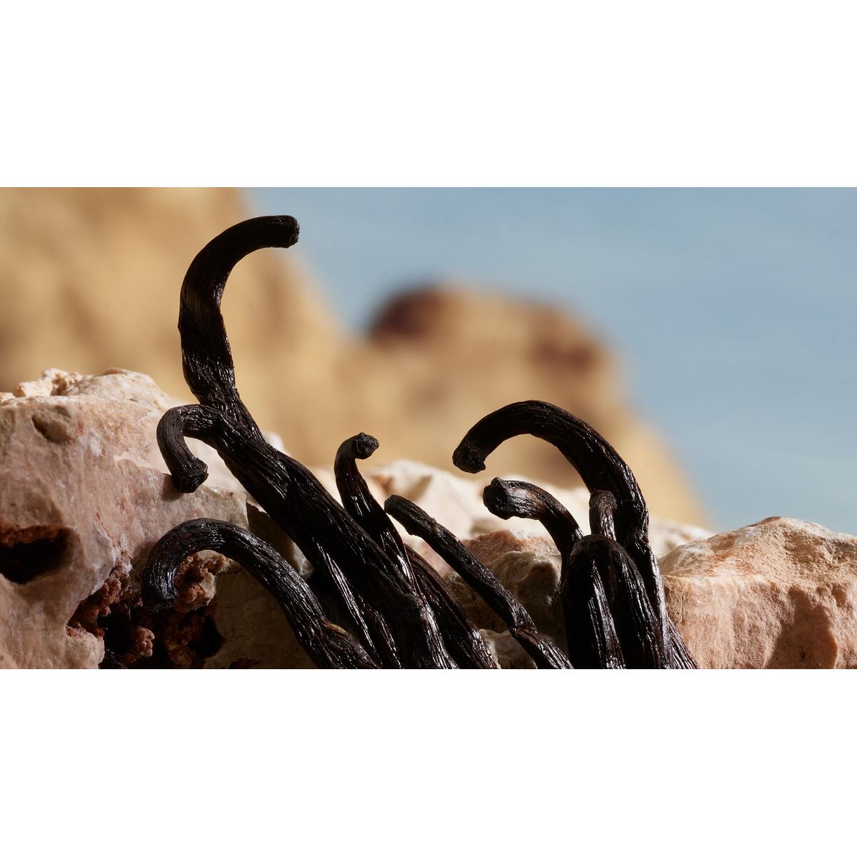 V2H71863E5AD3BDF47BD4B8FF849C68E48AR7789432P3