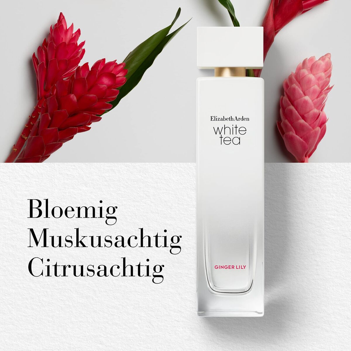 V2H2A27CB786E0D7C3701FF098191D7BEECR7744984P5