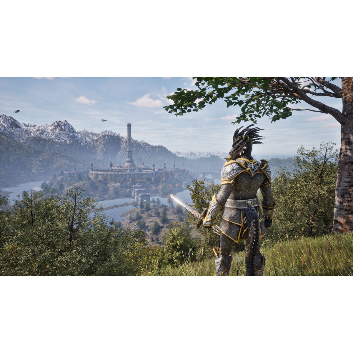 Microsoft Playstation 5 Video Game Microsoft Elder Scrolls Iv Oblivion