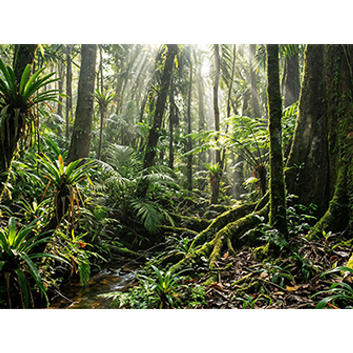 Hp Laptop Hp D4Dg7At#Abe 14" 64 Gb Ram 1 Tb Ssd