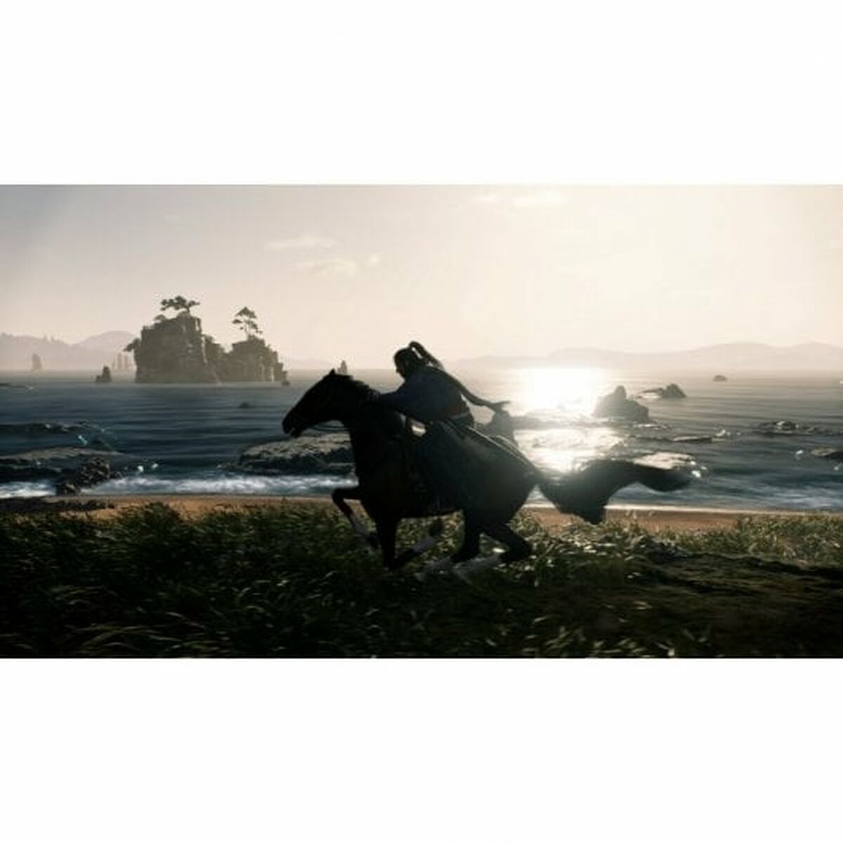 Sony Playstation 5 Video Game Sony Rise Of The Ronin
