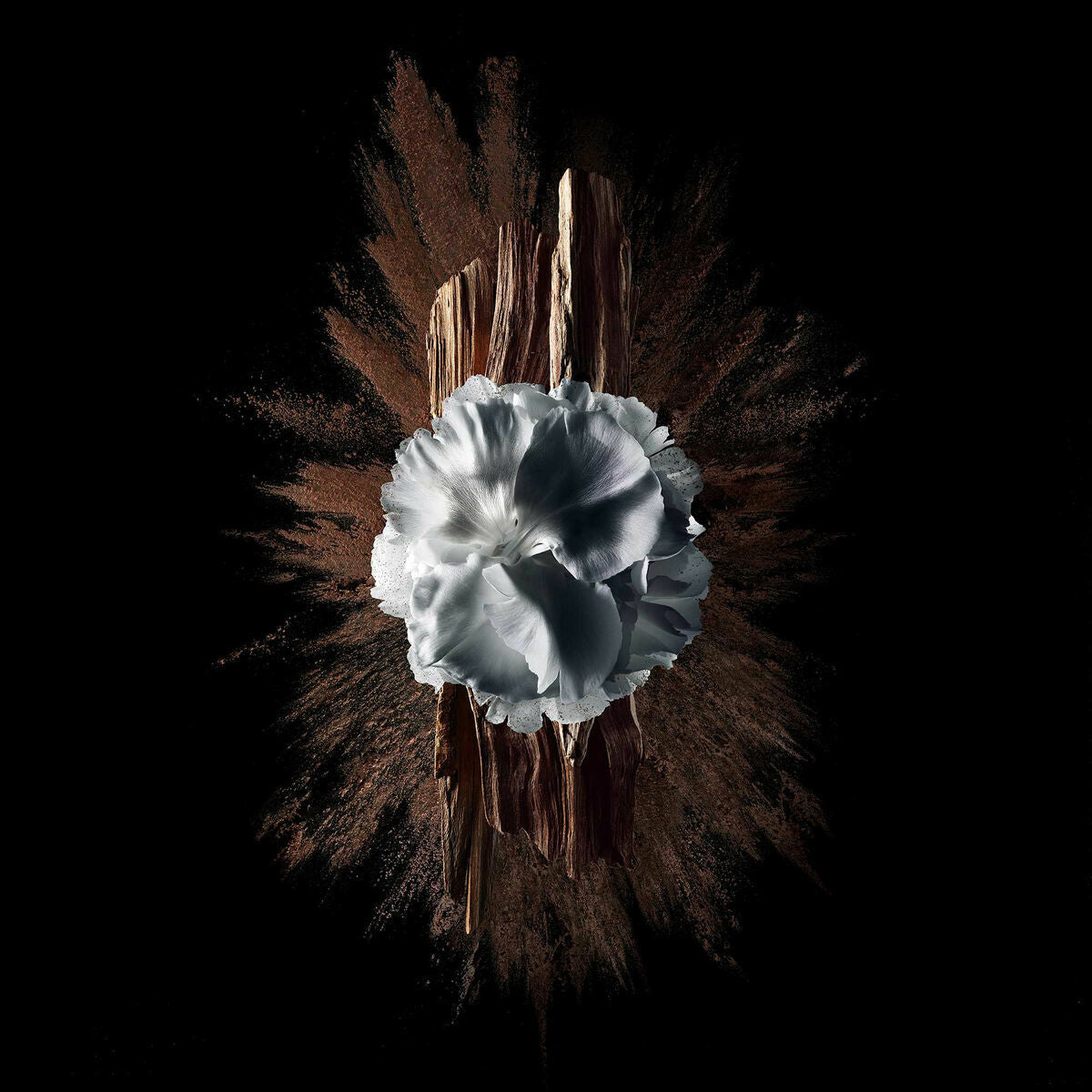 V2HAB4E235534EF0D4A72FD09BC5CB1870FR7745633P5