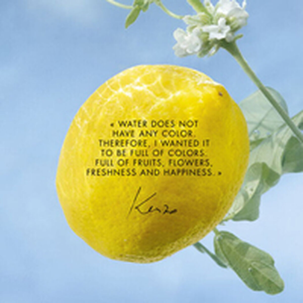 V5HAE41DEC245A48428A2777FE1055C546FR6237861P3