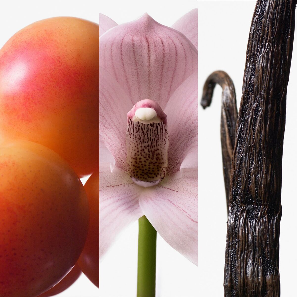 V6H420C6247E3FC70A93A6C9AE4C1FBEA15R6446337P3