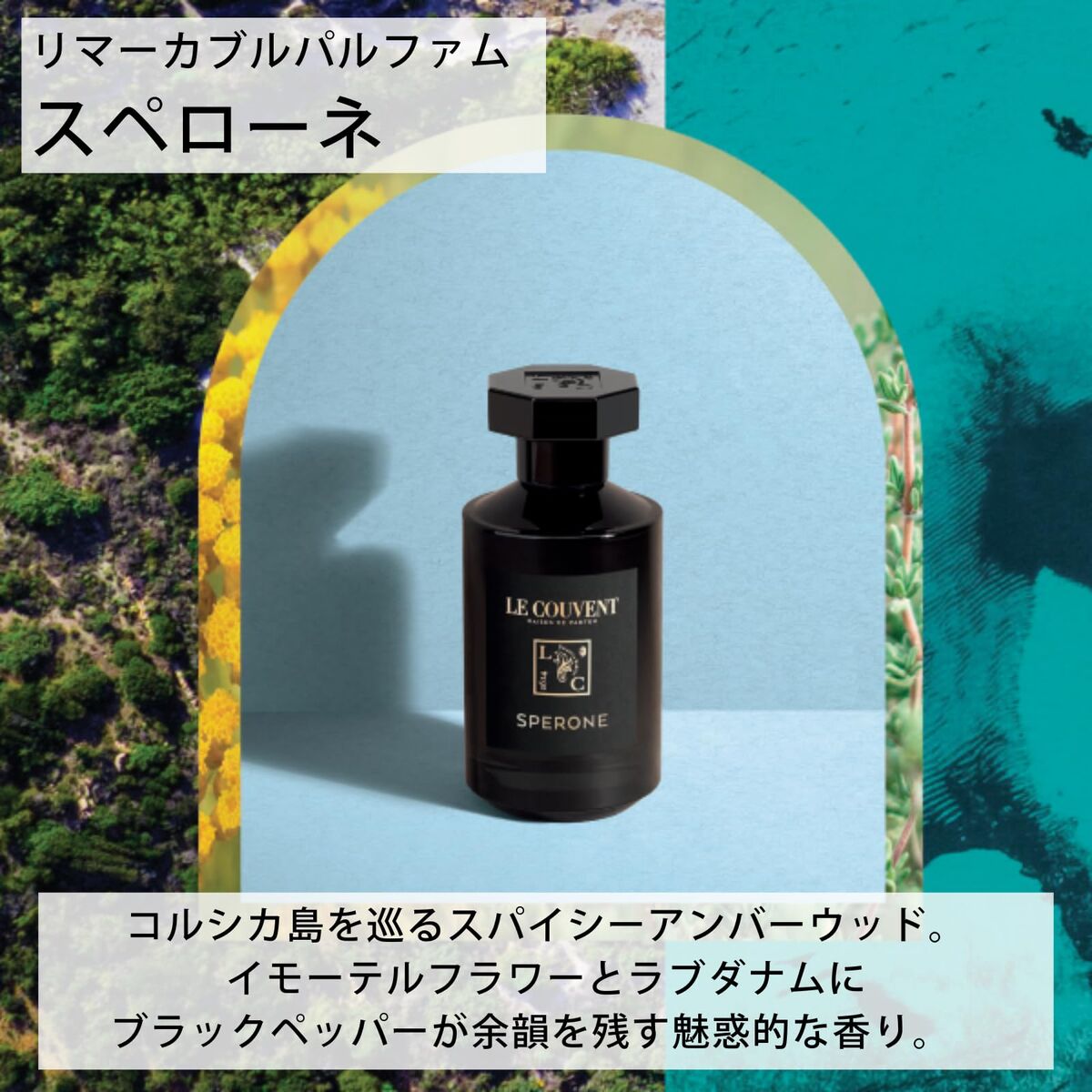 V2H1E6C67126DA8AE2D08008A95F5892E6BR7789490P2