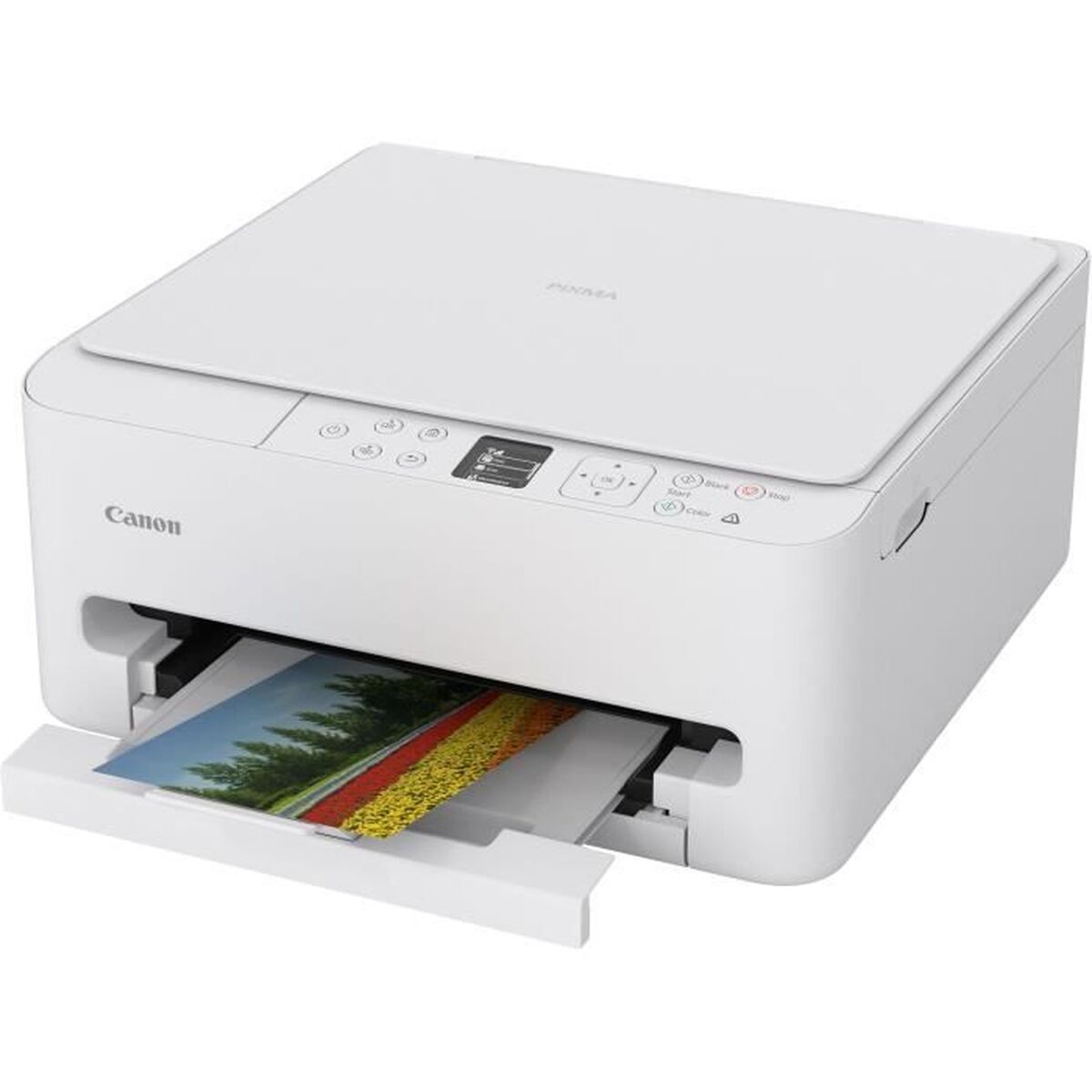 Canon Multifunction Printer Canon 7179C006