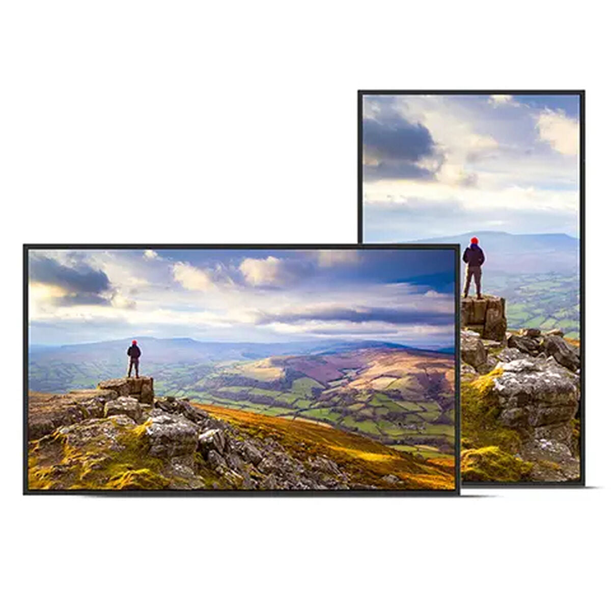 Sharp Videowall Monitor Sharp 60006181 4K Ultra Hd 43"