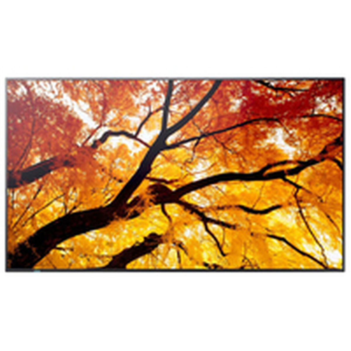 Sharp Videowall Monitor Sharp 60006057 4K Ultra Hd 74,5"
