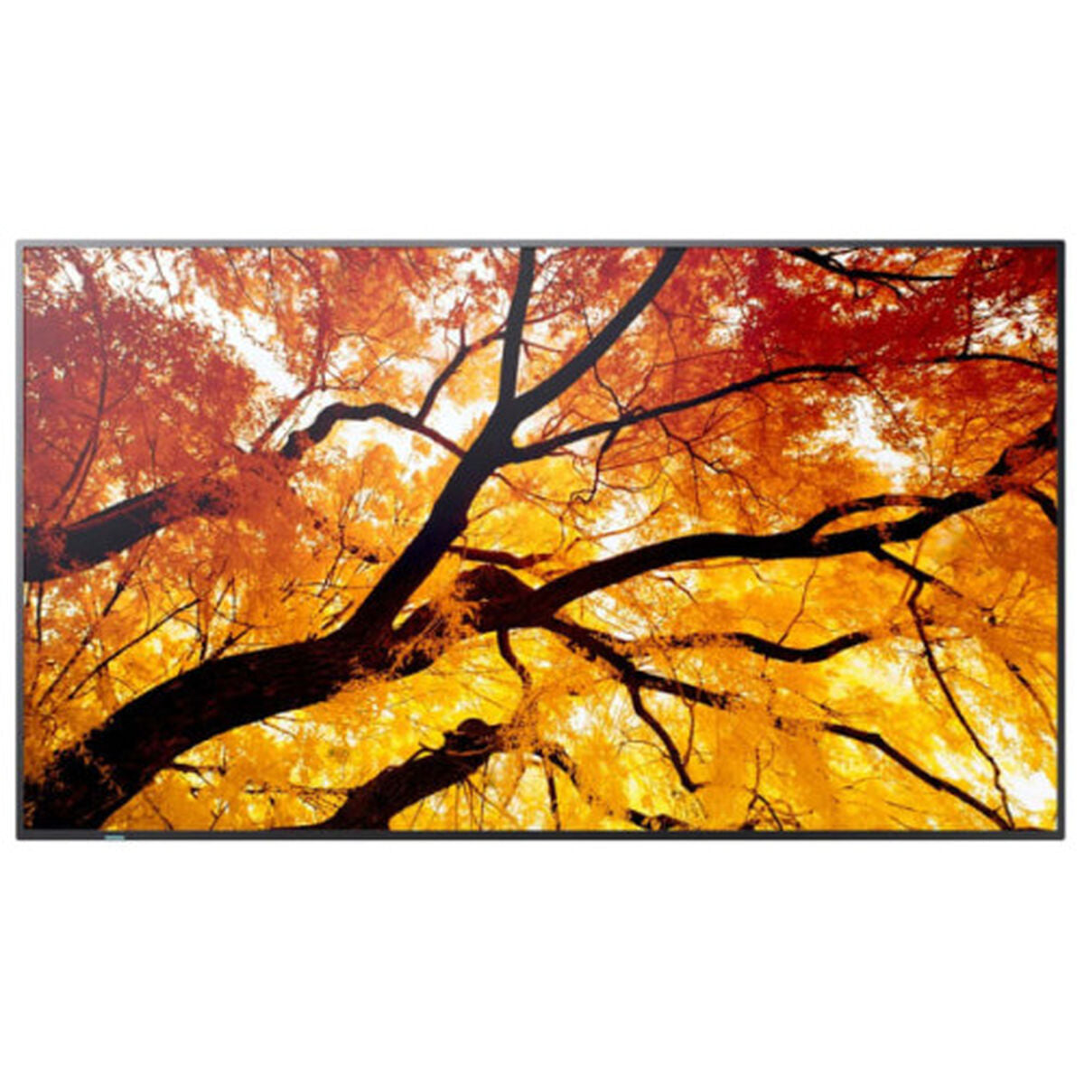 Sharp Videowall Monitor Sharp 60006057 4K Ultra Hd 74,5"