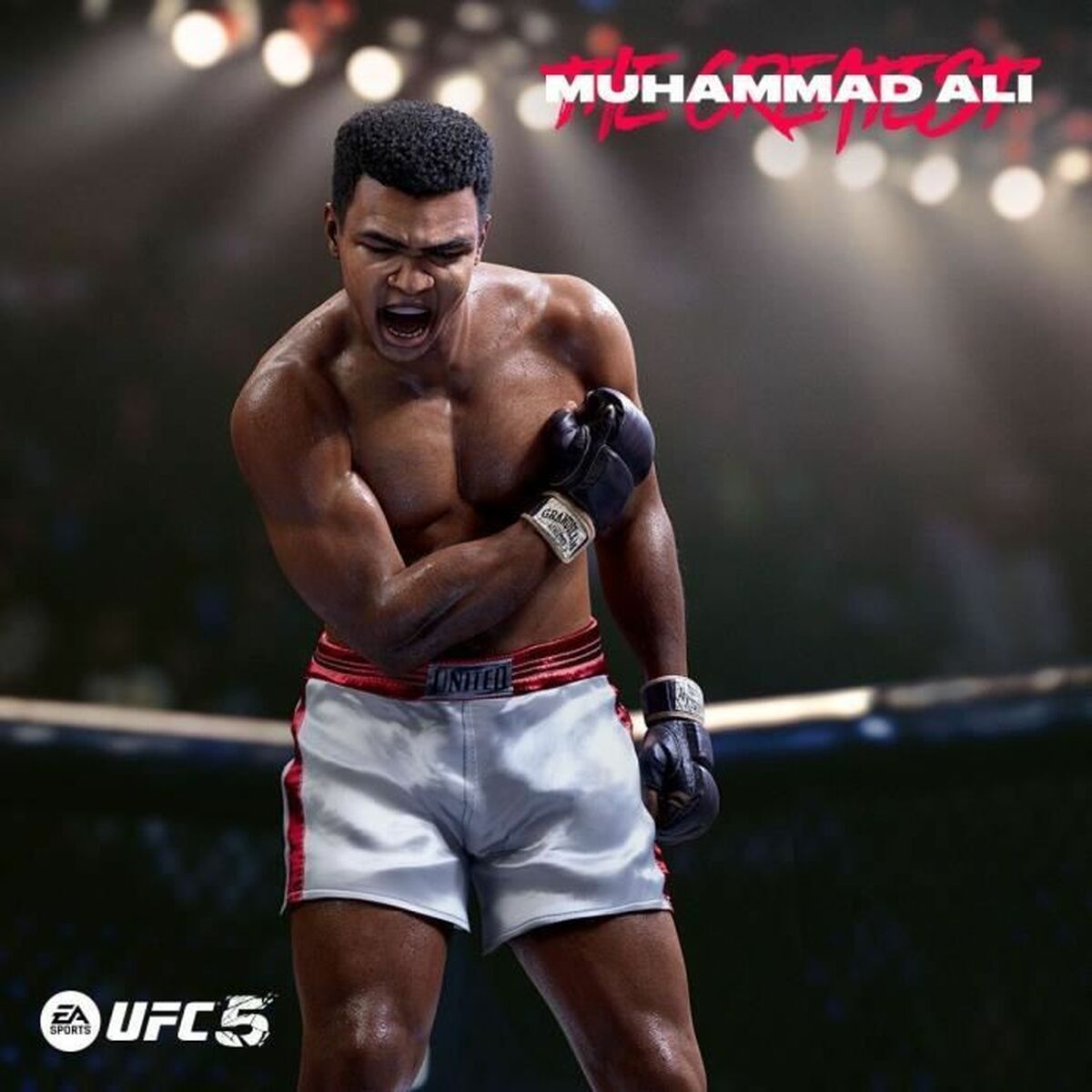 Electronic Arts Playstation 5 Video Game Electronic Arts Ufc 5 2316 Pieces