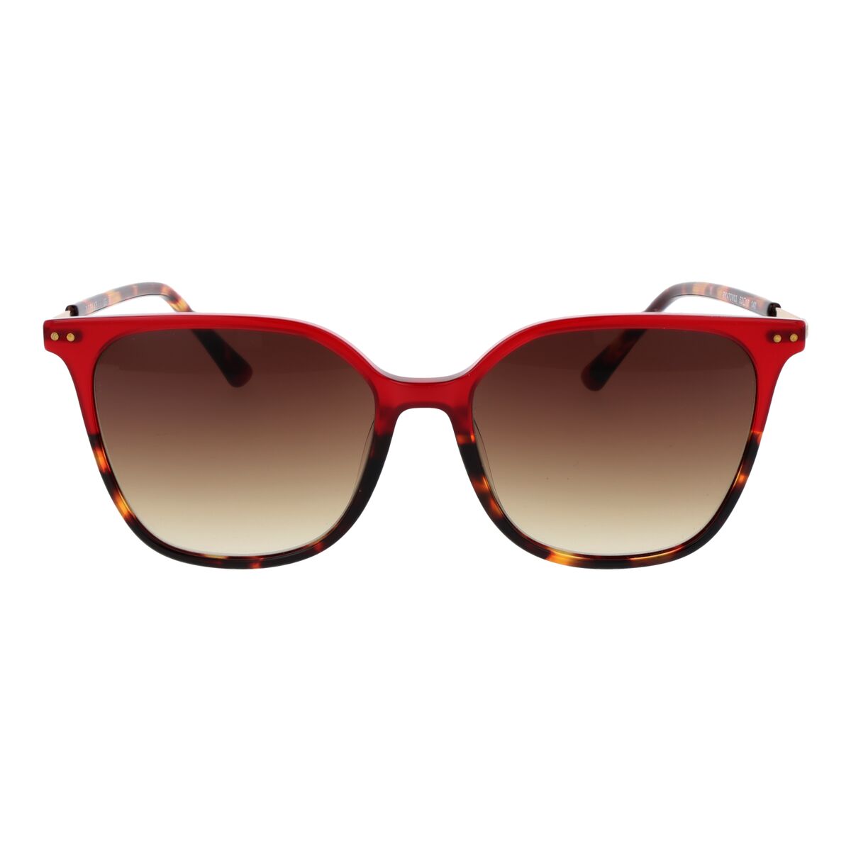 Replay Ladies' Sunglasses Replay Ry473V 5303S