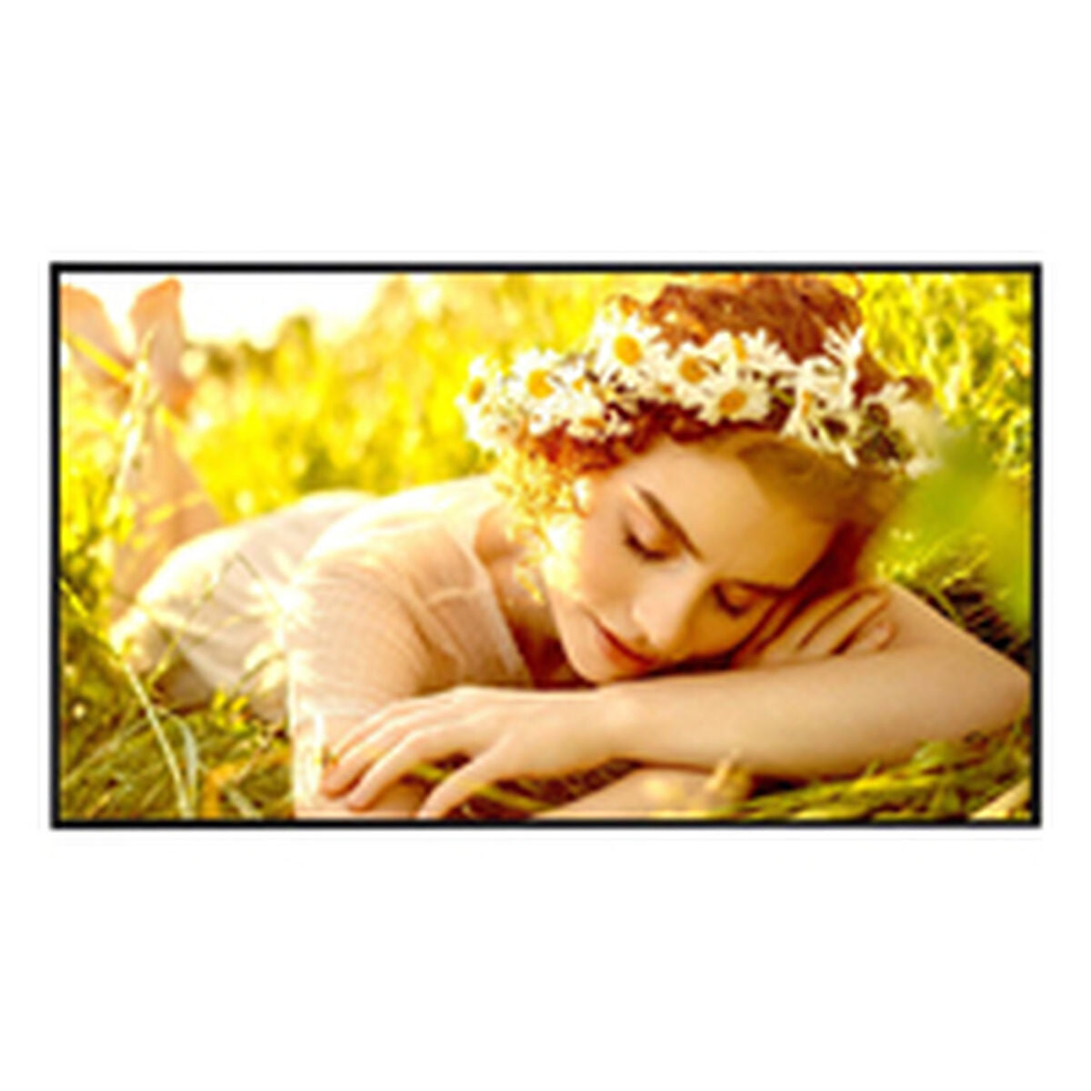 Lg Videowall Monitor Lg 75Ul5Q-E.aeuq 4K Ultra Hd 75"